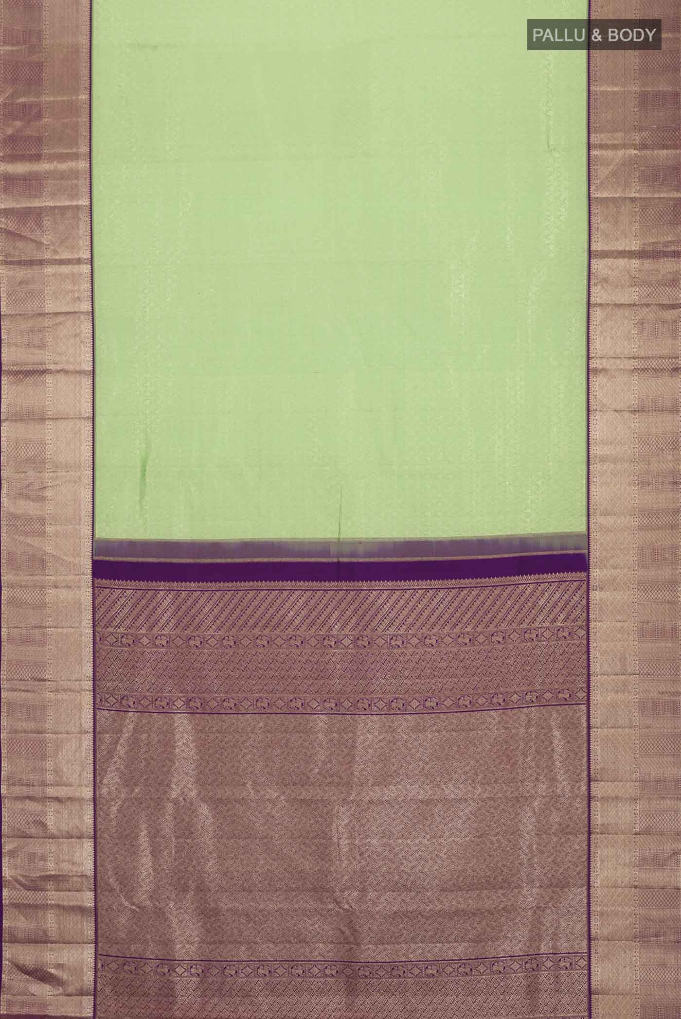 pallu body