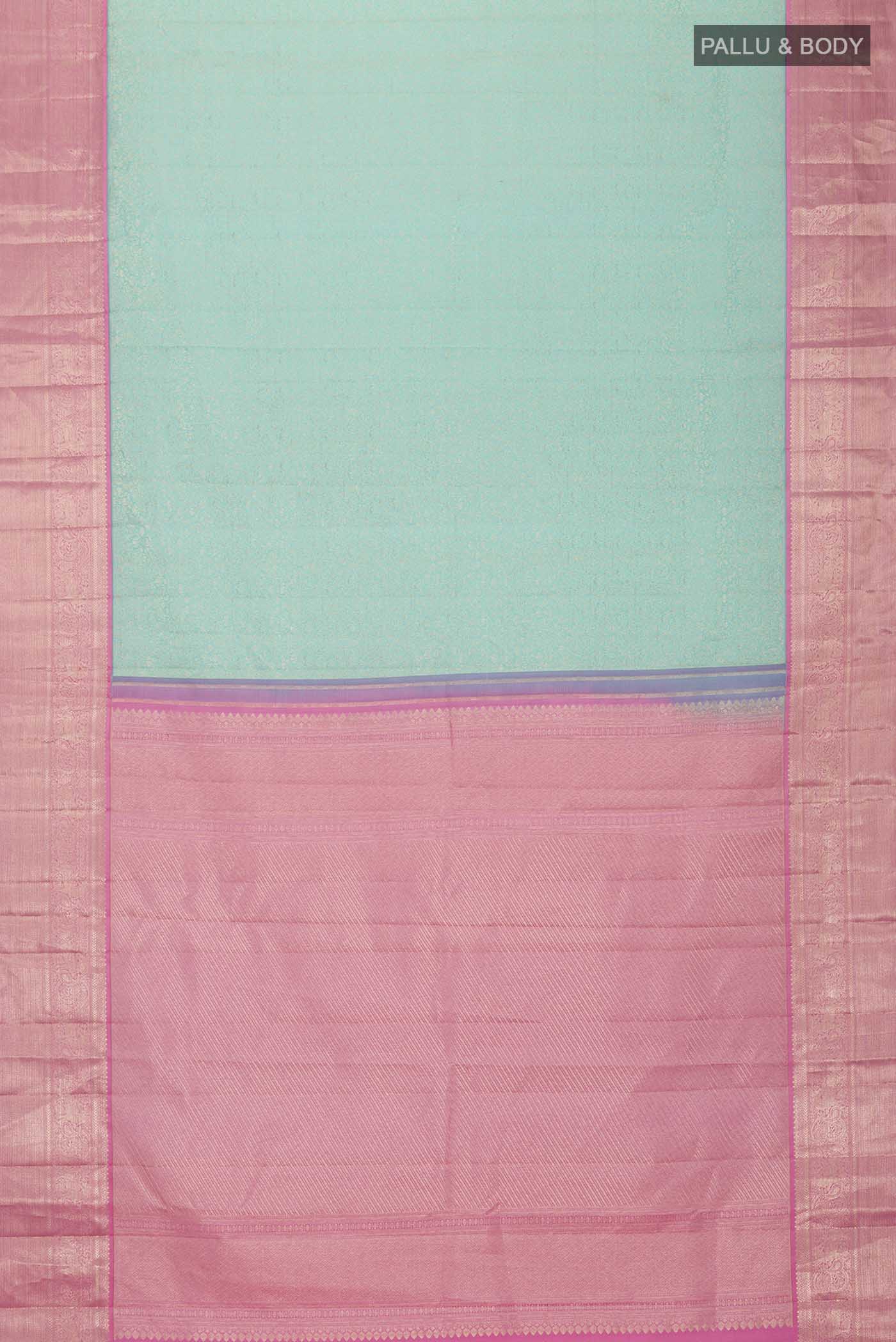 pallu body