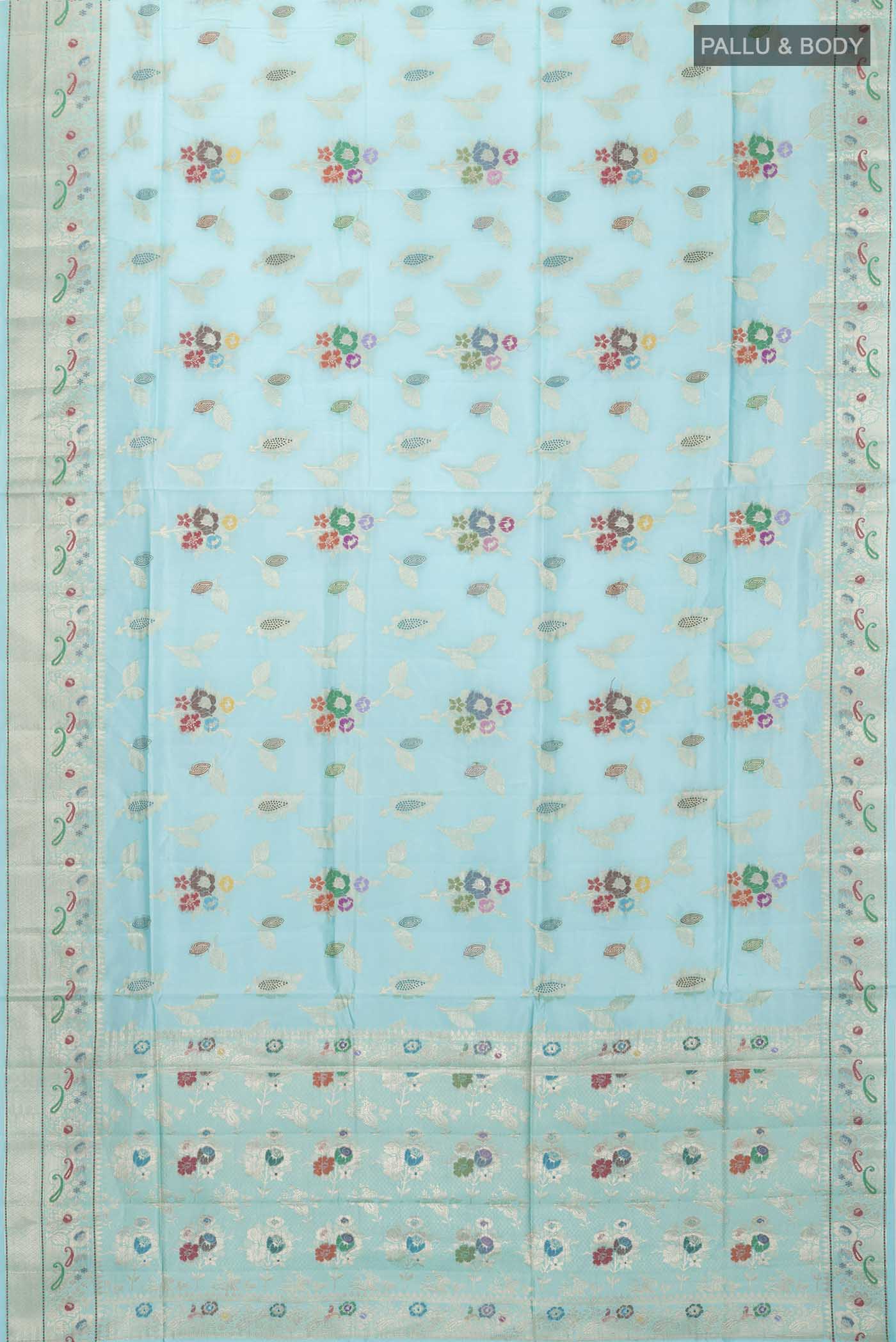 pallu body