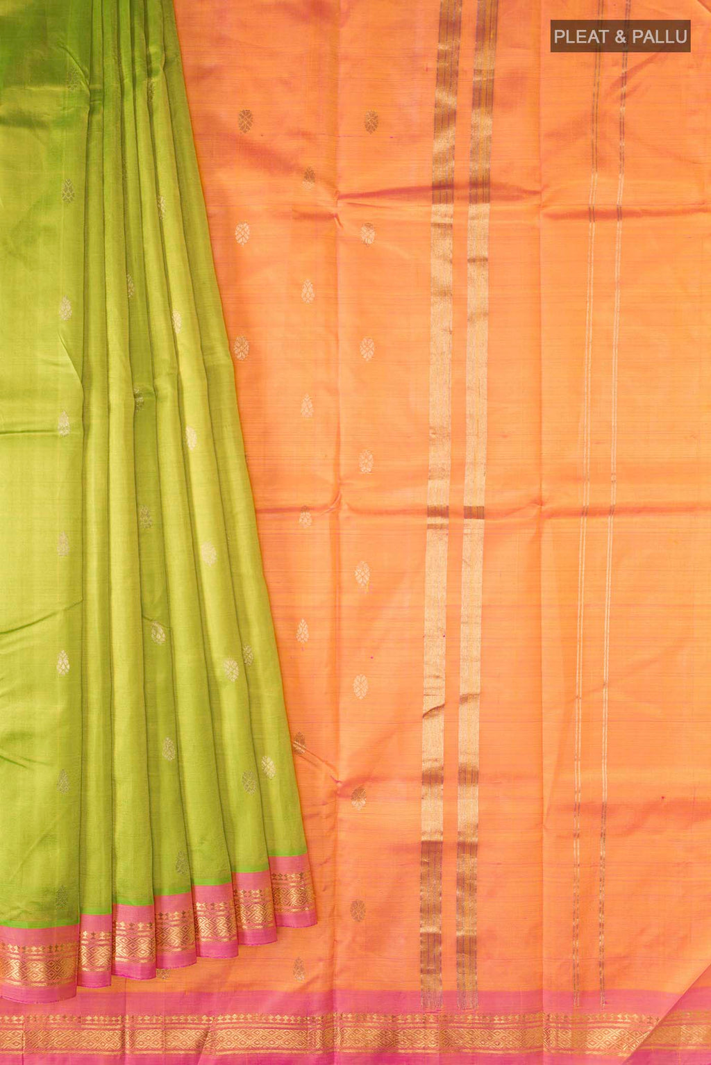 pleats pallu