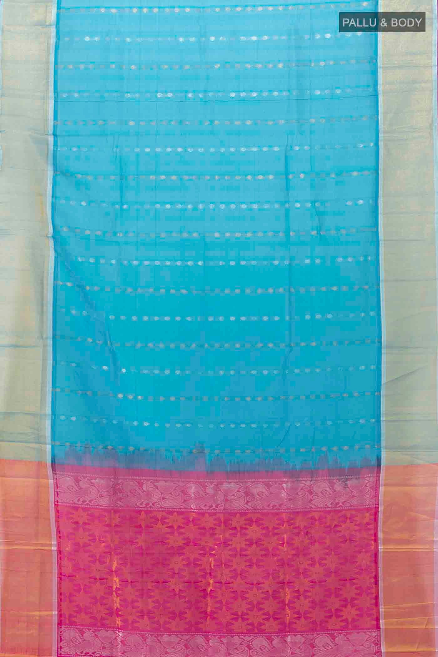 pallu body