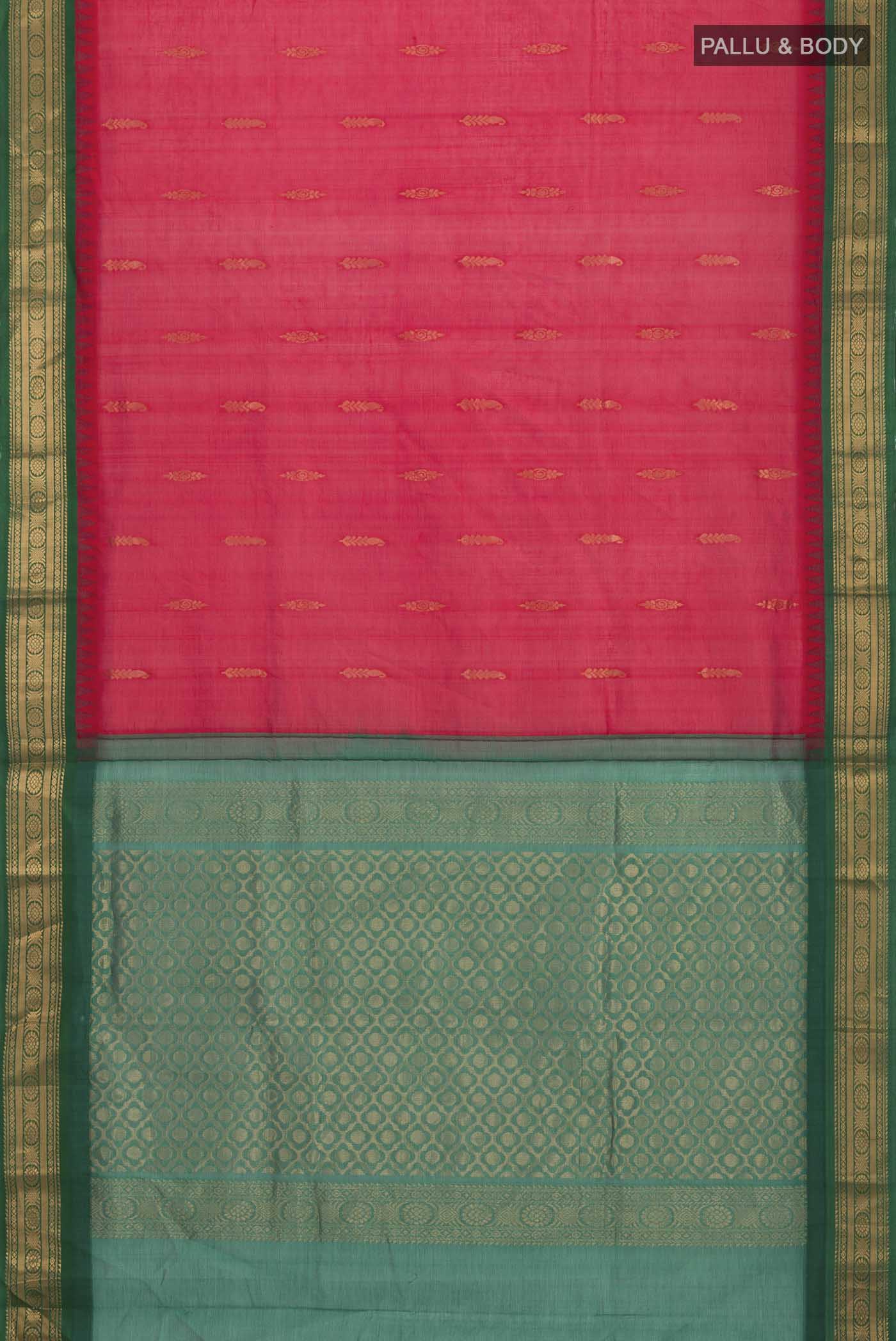 pallu body