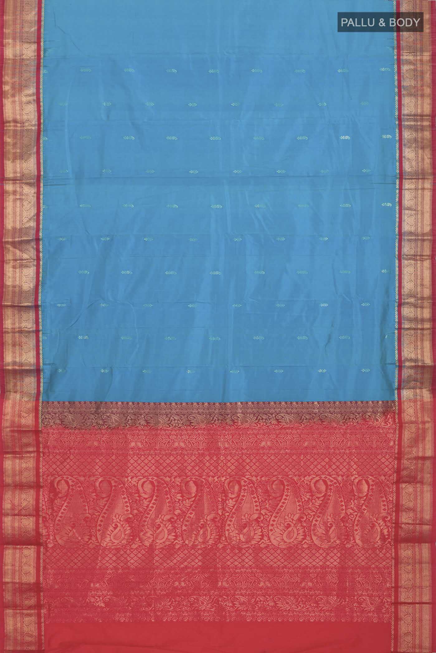 pallu body
