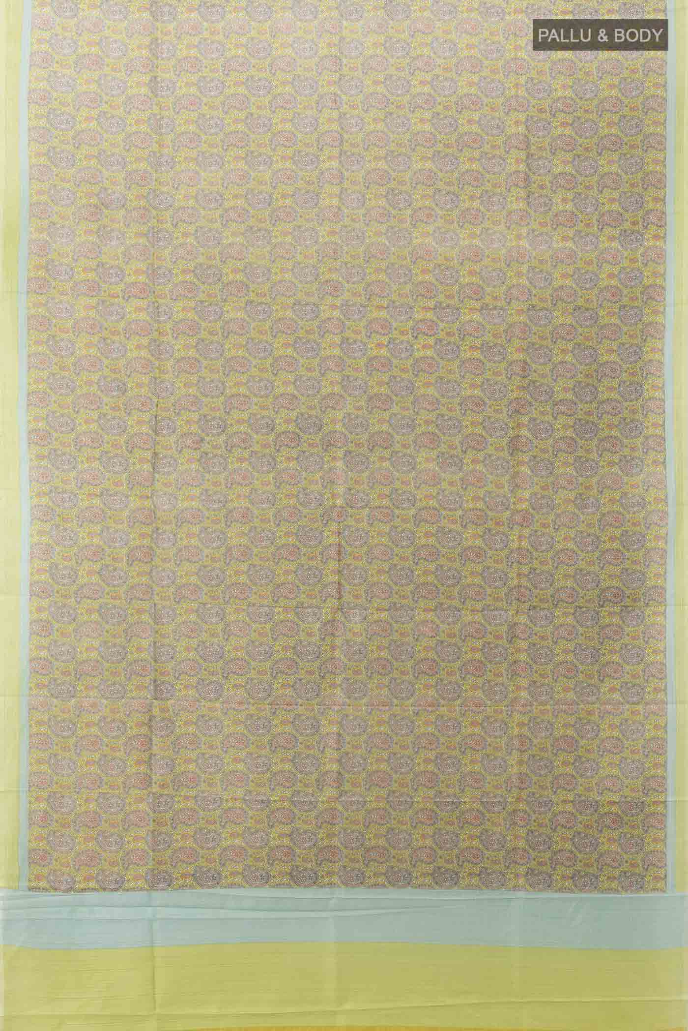 pallu body