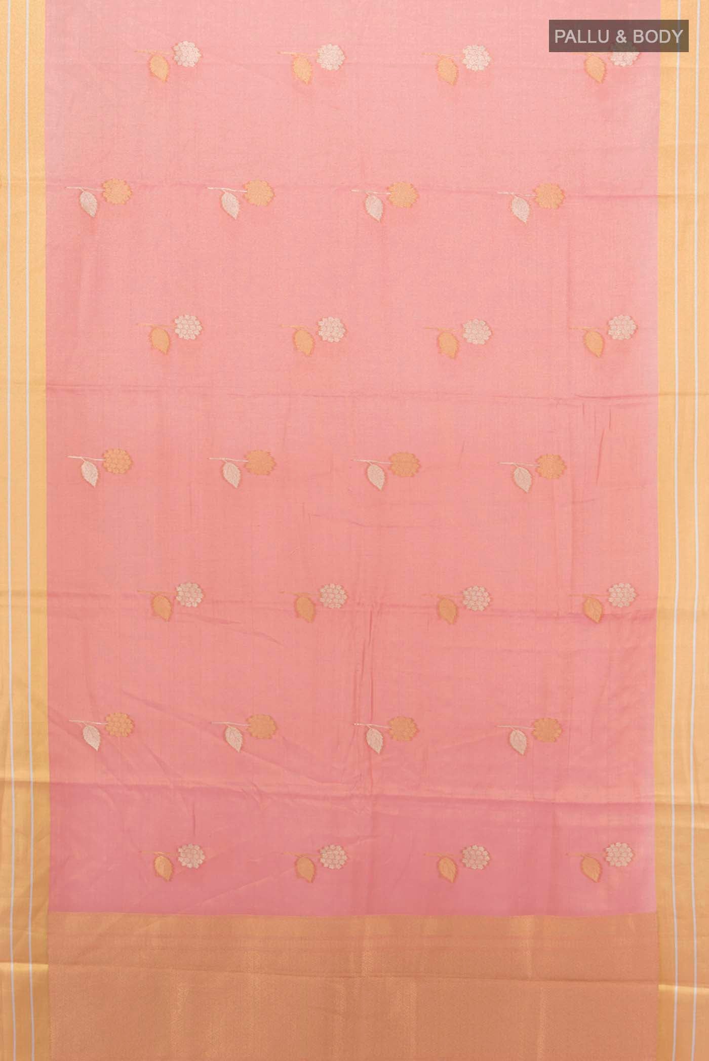 pallu body