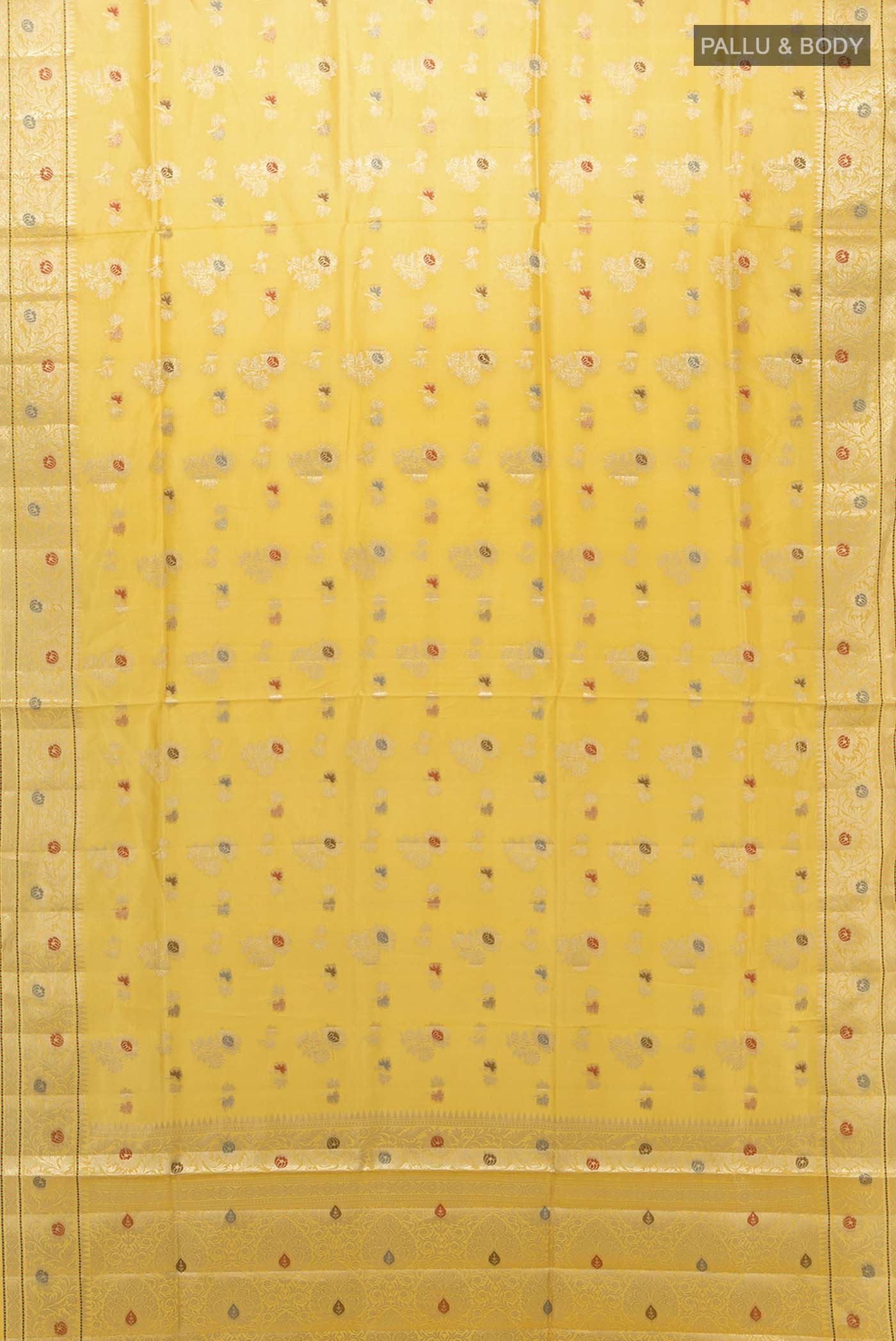pallu body