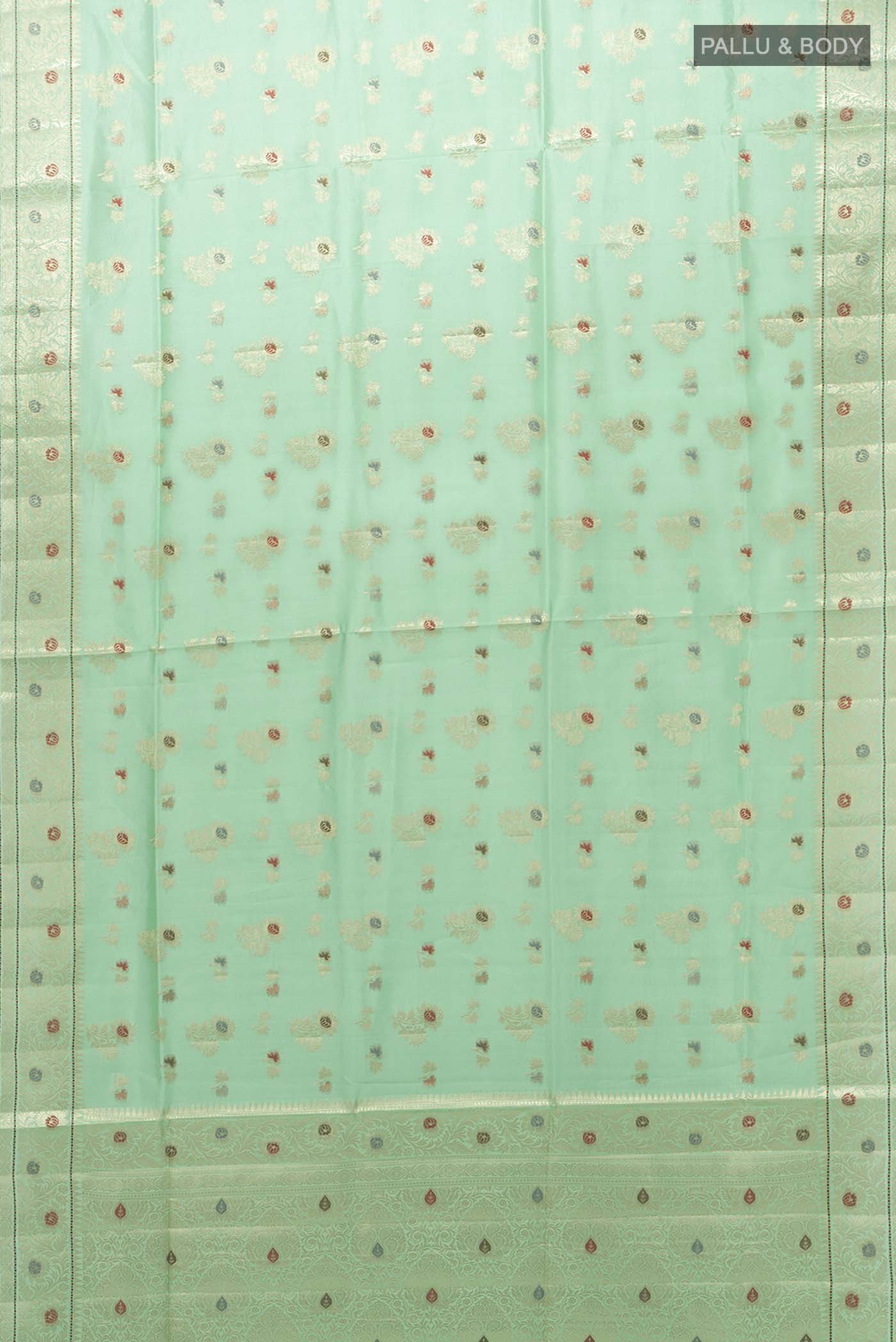 pallu body