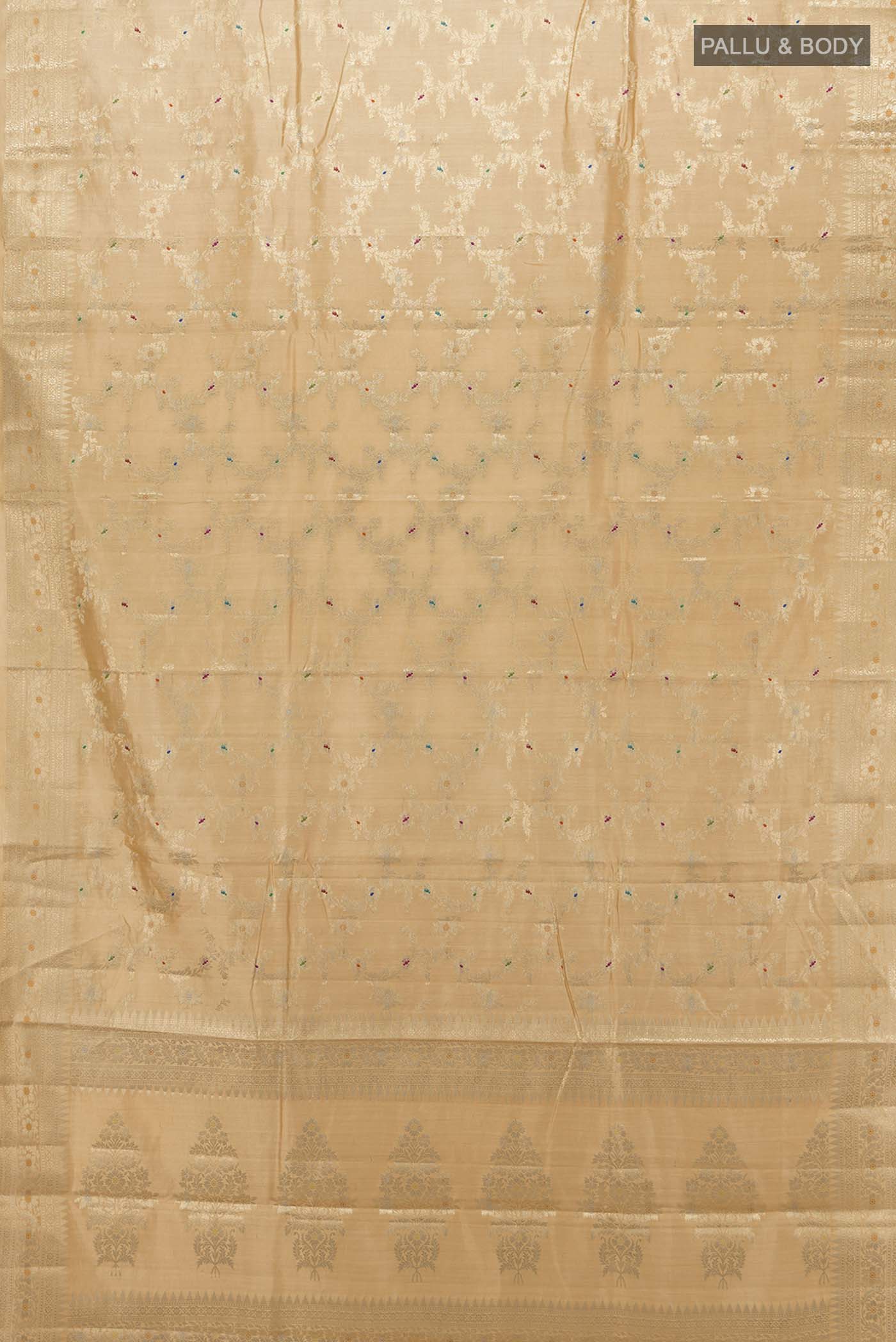 pallu body