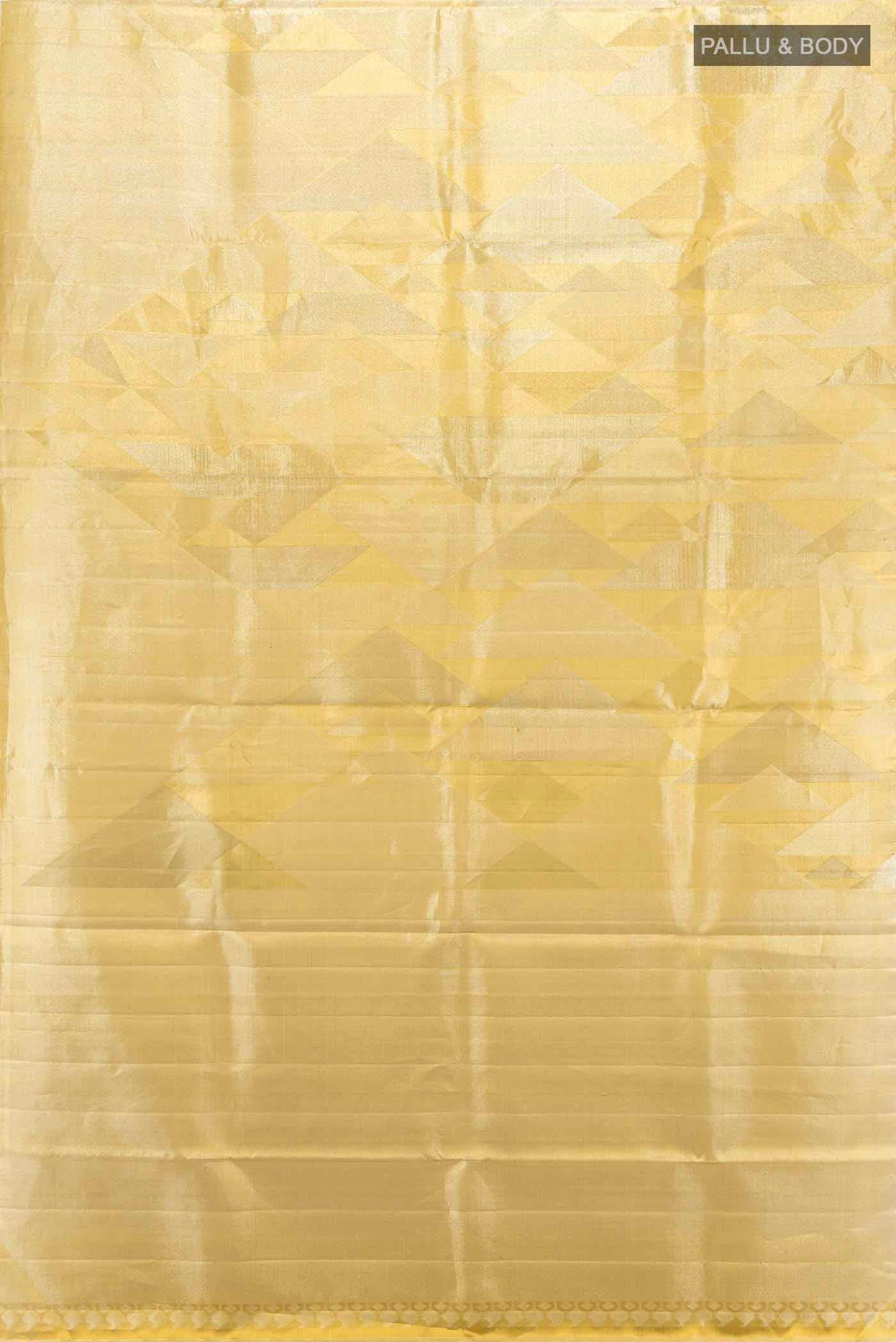 pallu body