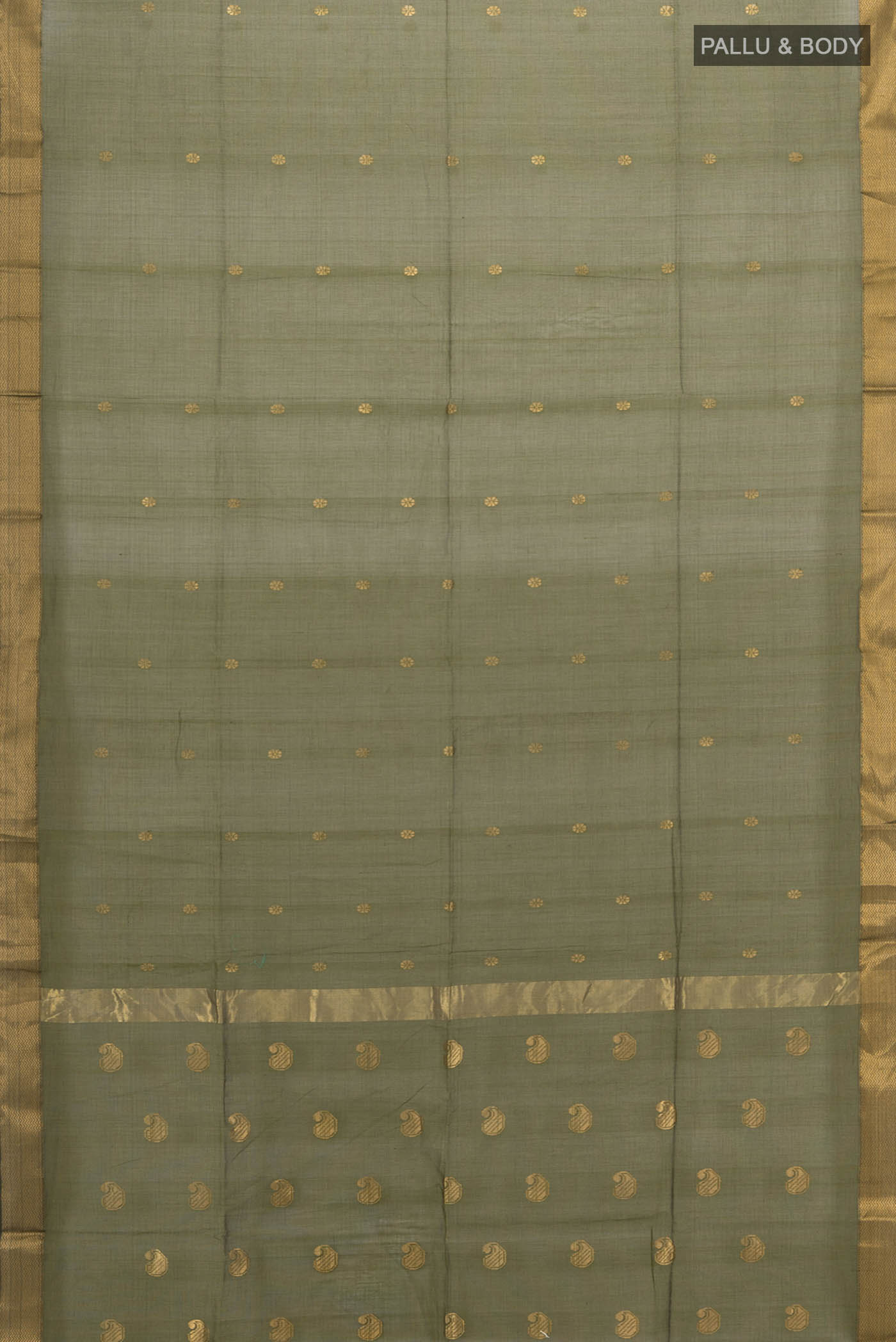 pallu body