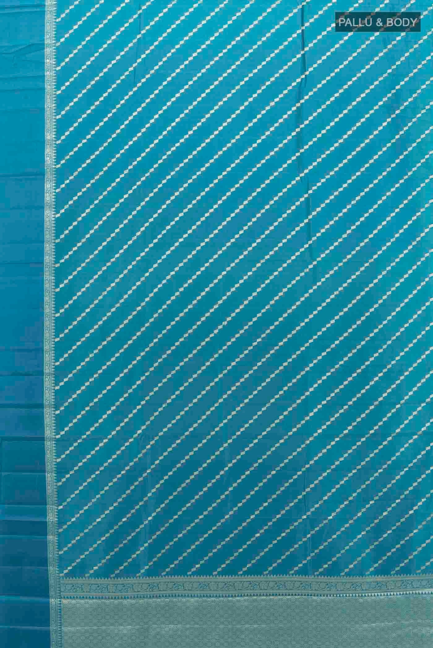 pallu body