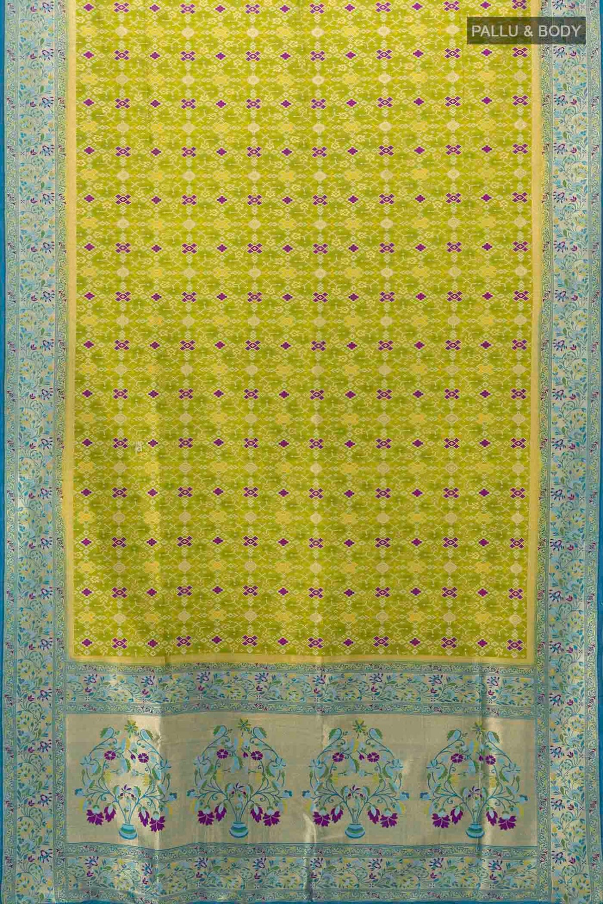 pallu body