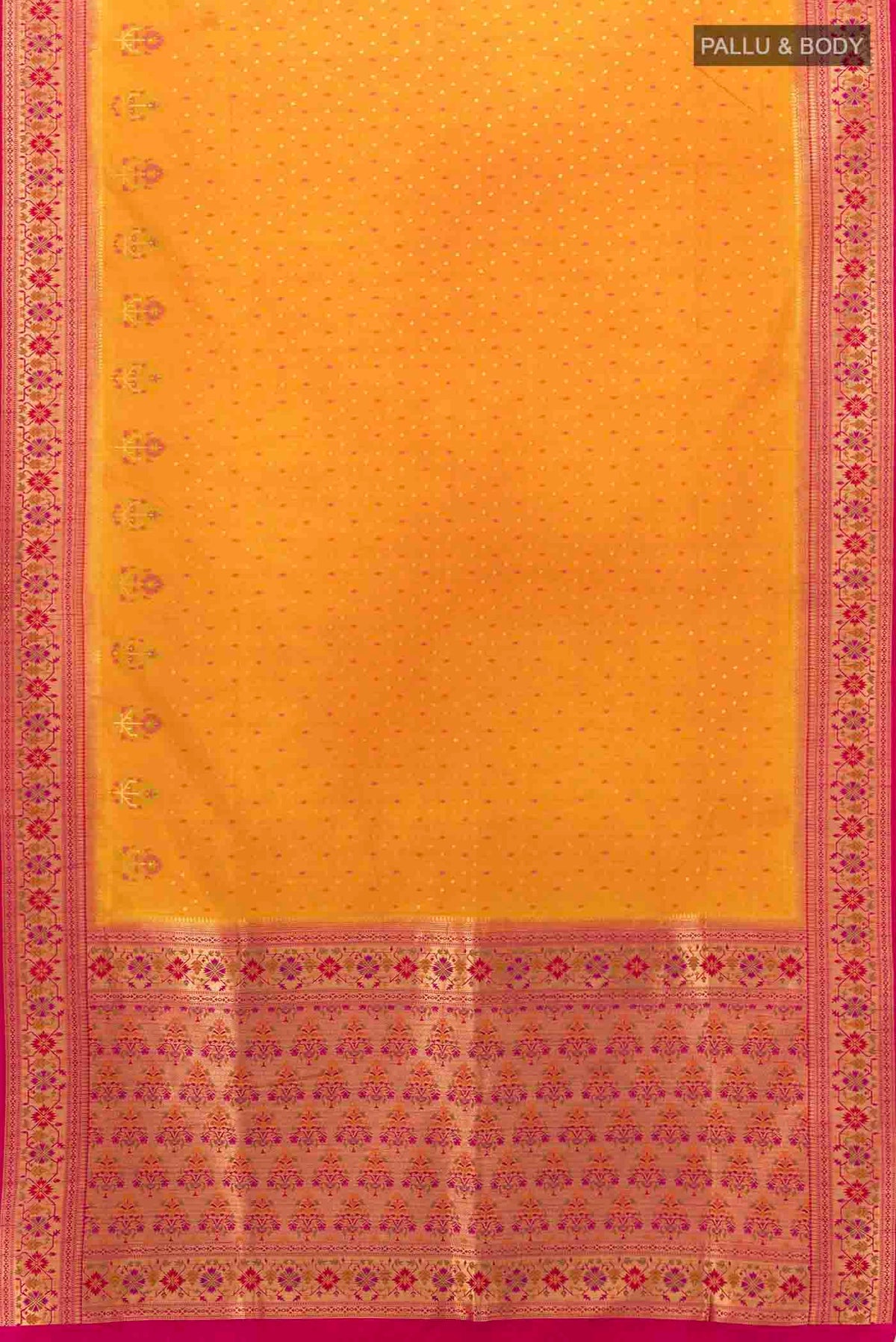 pallu body