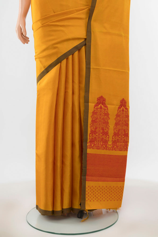 Pleats and pallu of Pure Silk Pure Zari Mustard Kanchipuram Saree with Zari Butta on the body and Silk Border. 