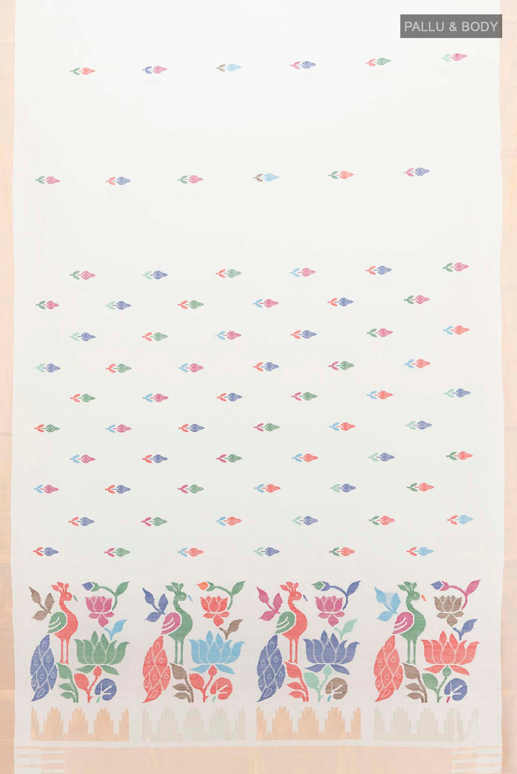 pallu body