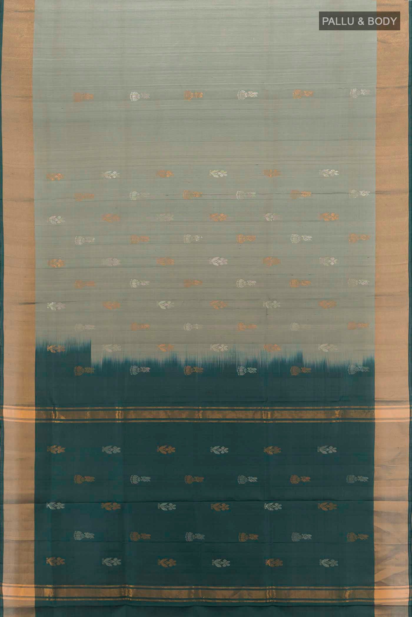 pallu body