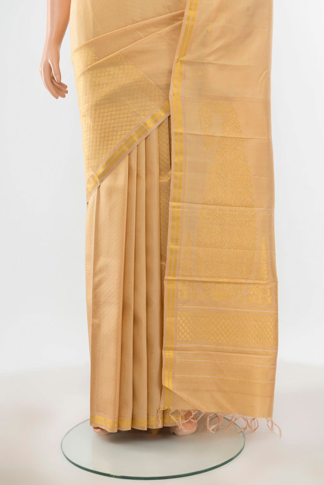 Pleats and pallu of Pure Silk Pure Zari Cream Kanchipuram Saree with Zari Butta on the body and Silk Border. 