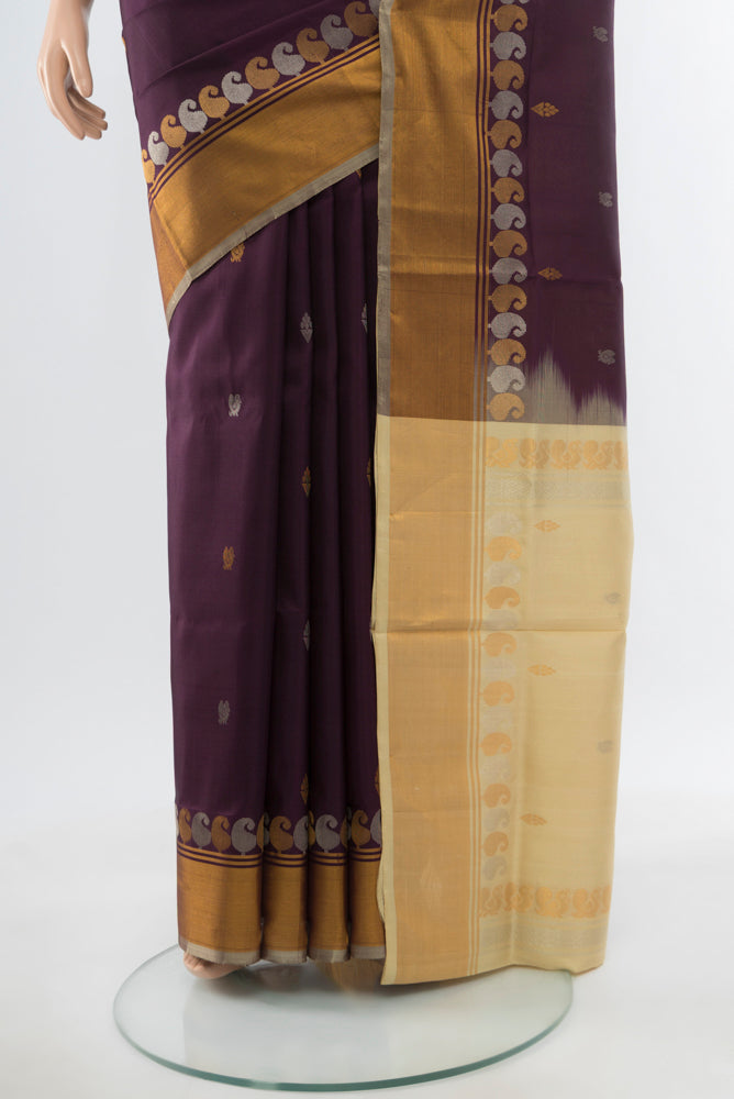 Pleats and pallu of Coffee Brown Uppada Silk Saree with Zari Butta on the body and Silk Border. 