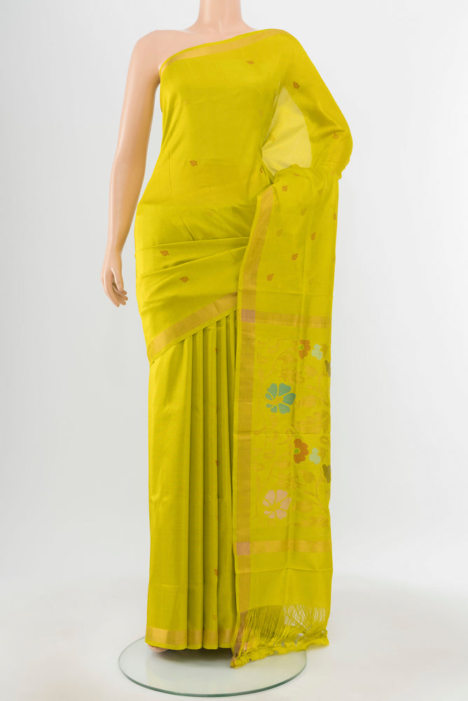 Light Green Uppada Silk Saree with Zari Butta on the body and Silk Border.  displayed on a mannequin