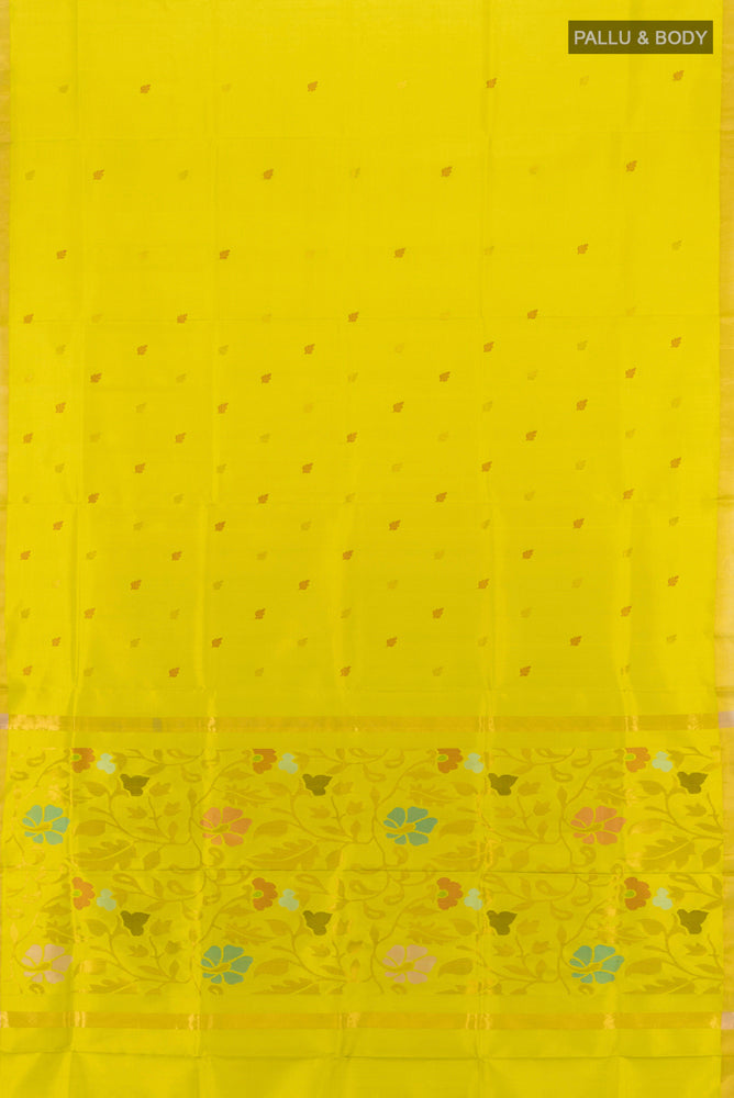 Flat view of Light Green Uppada Silk Saree with Zari Butta on the body and Silk Border. 