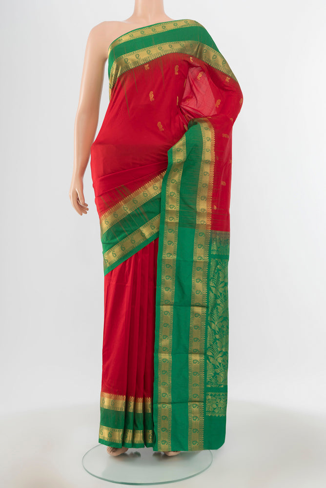 Pure Silk Pure Zari Red Bangalore - kadyal Saree with Zari Butta on the body and Silk Border.  displayed on a mannequin