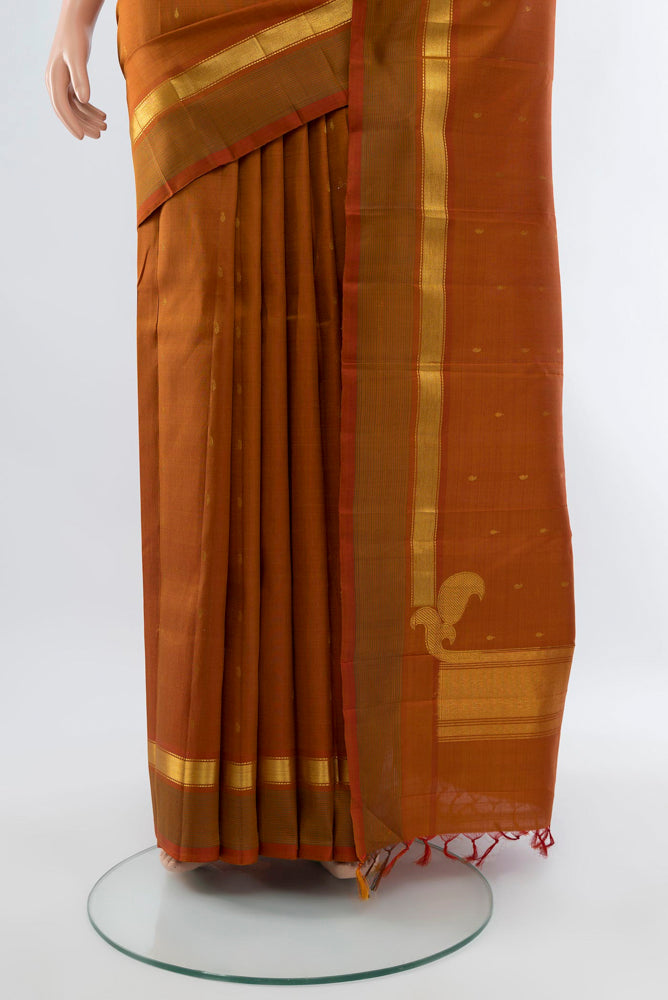 Pleats and pallu of Brown Kanchipuram Silk Saree with Zari Butta on the body and Silk Border. 