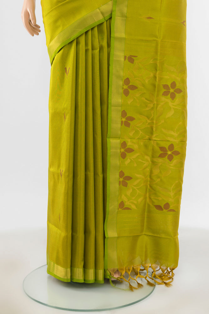 Pleats and pallu of Light Green Uppada Silk Saree with Zari Brocade on the body and Silk Border. 