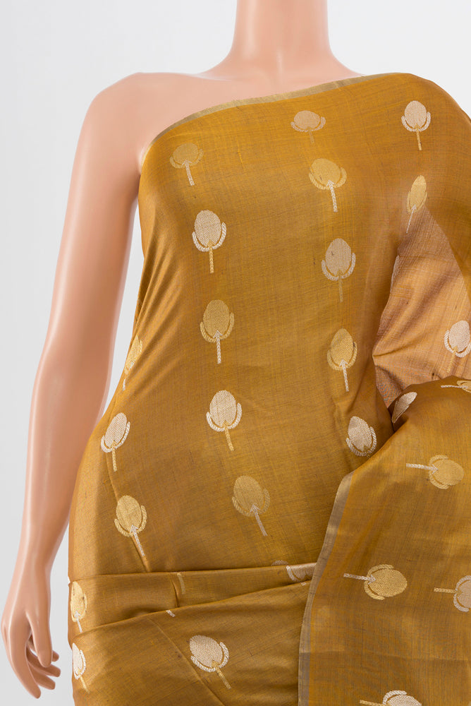 Border image of Golden Tussar Silk Saree with Zari Butta on the body and Silk Border. 