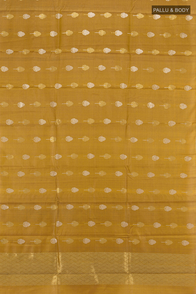 Flat view of Golden Tussar Silk Saree with Zari Butta on the body and Silk Border. 