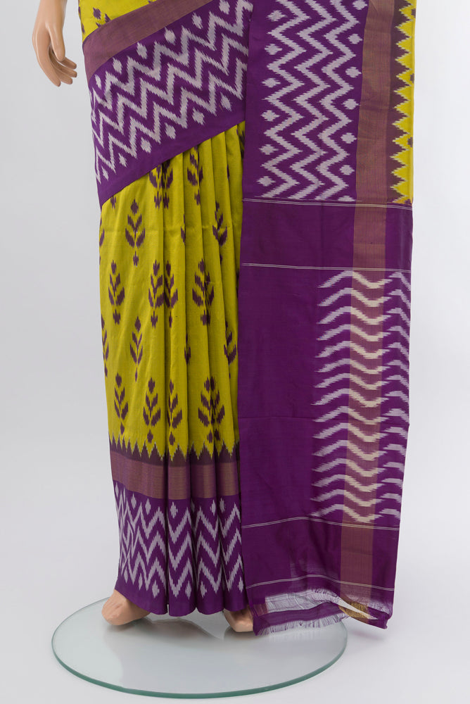 Pleats and pallu of Light Green Pochampally Saree with Ikat Print on the body and Silk Border. 