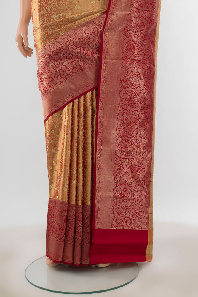 Pleats and pallu of Pure Silk Pure Zari Golden Kanjivaram Saree with Zari Butta on the body and Silk Border. 