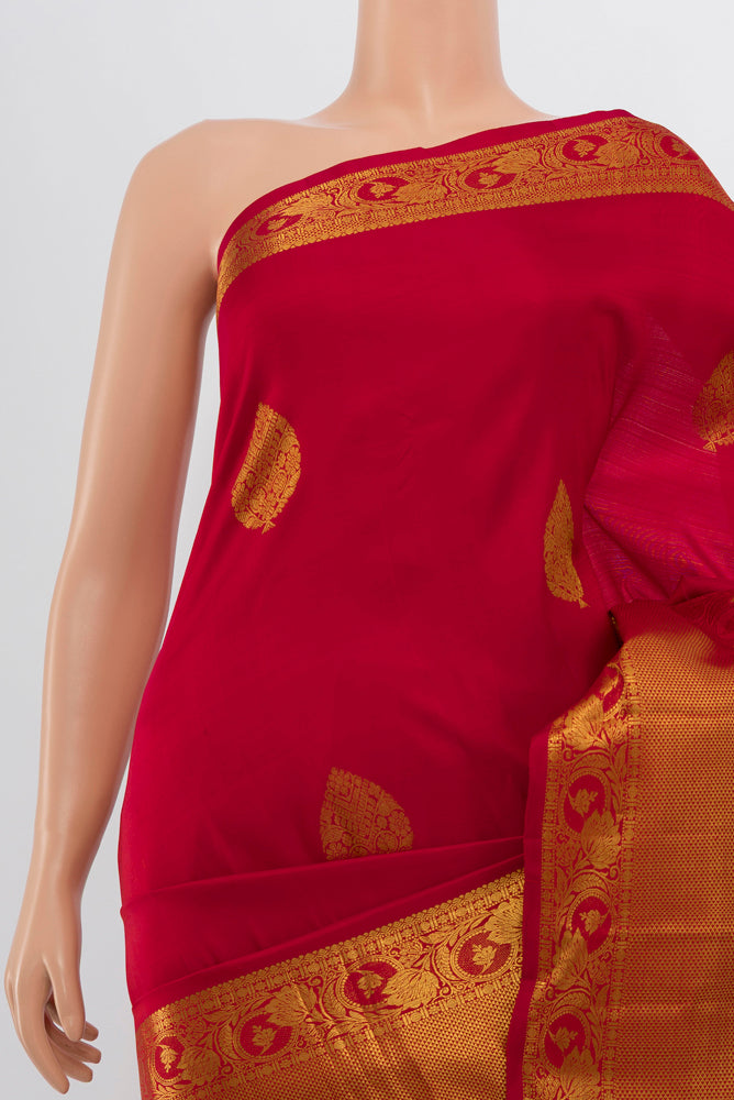 Border image of Maroon Kanchipuram Silk Saree with Zari Butta on the body and Silk Border. 