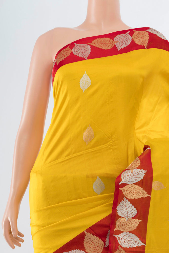 Border image of Yellow Banarasi Katan Silk Saree with Zari Butta on the body and Silk Border. 
