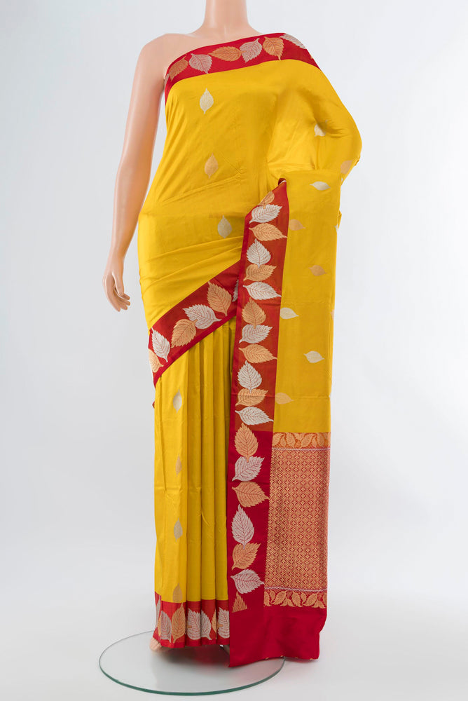 Yellow Banarasi Katan Silk Saree with Zari Butta on the body and Silk Border.  displayed on a mannequin