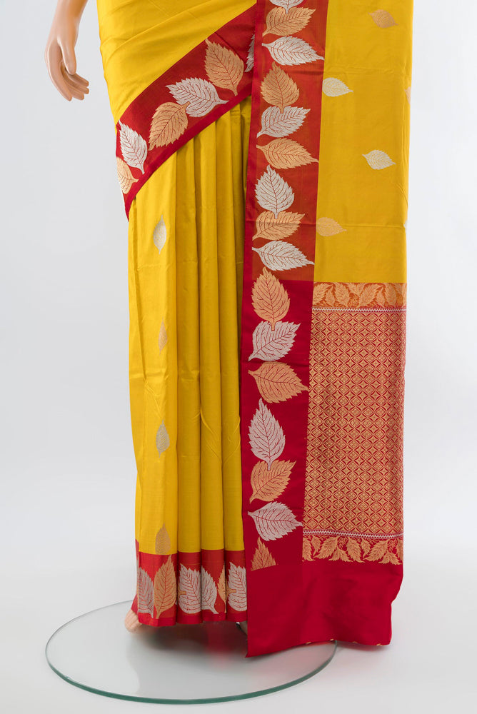 Pleats and pallu of Yellow Banarasi Katan Silk Saree with Zari Butta on the body and Silk Border. 