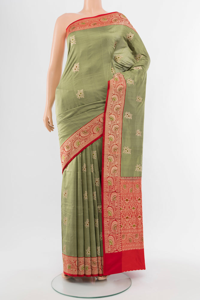 Light Green Banarasi Katan Silk Saree with Zari Butta on the body and Silk Border.  displayed on a mannequin