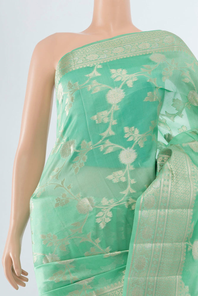 Border image of Light Green Banarasi Raw Silk Saree with Zari Butta on the body and Silk Border. 