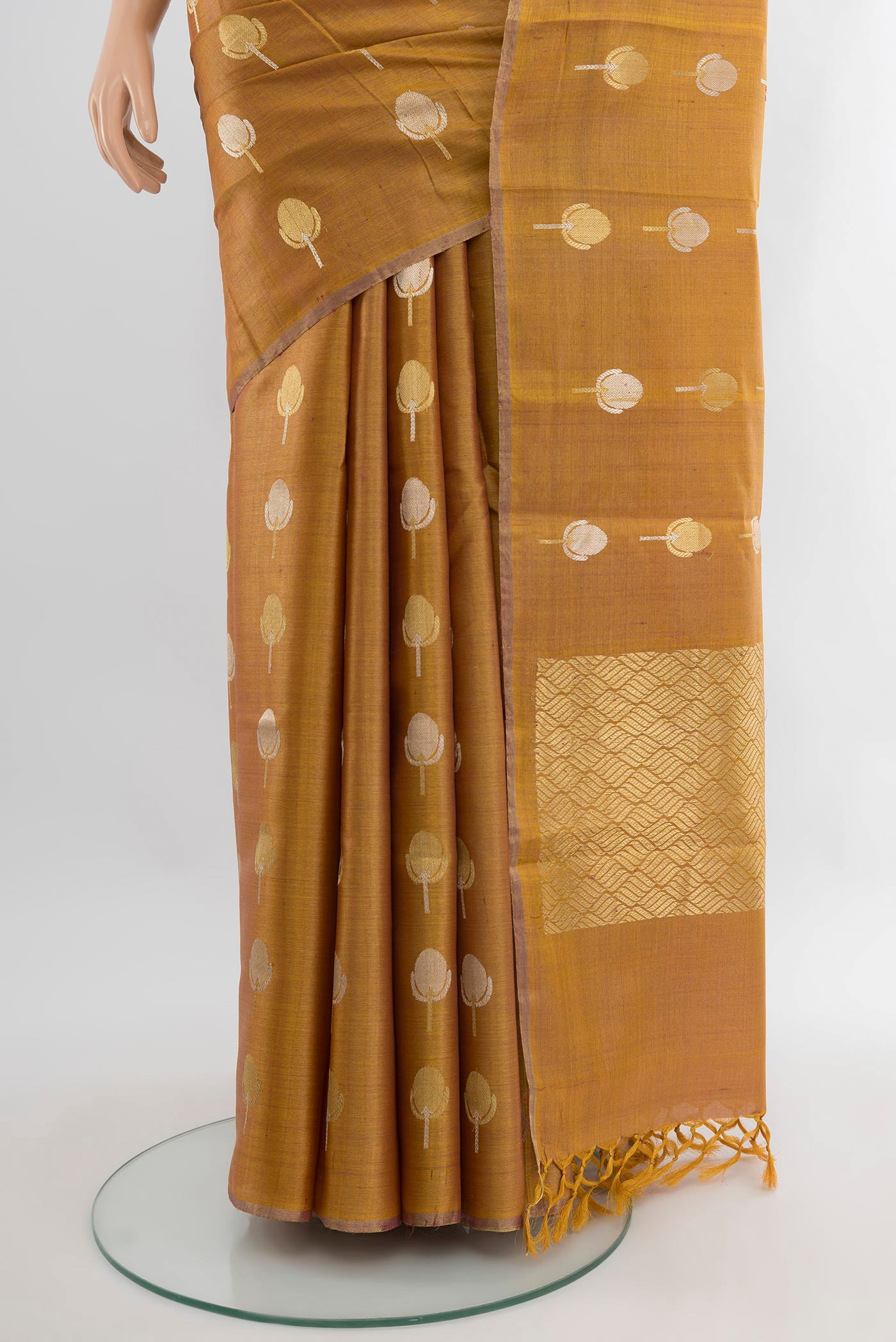 Pleats and pallu of Golden Tussar Silk Saree with Zari Butta on the body and Without Border. 