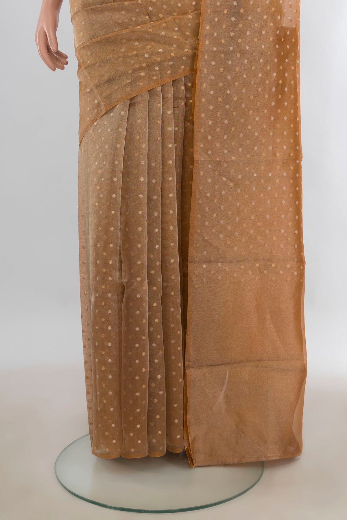 Pleats and pallu of Golden Organza Saree with Zari Butta on the body and Without Border. 