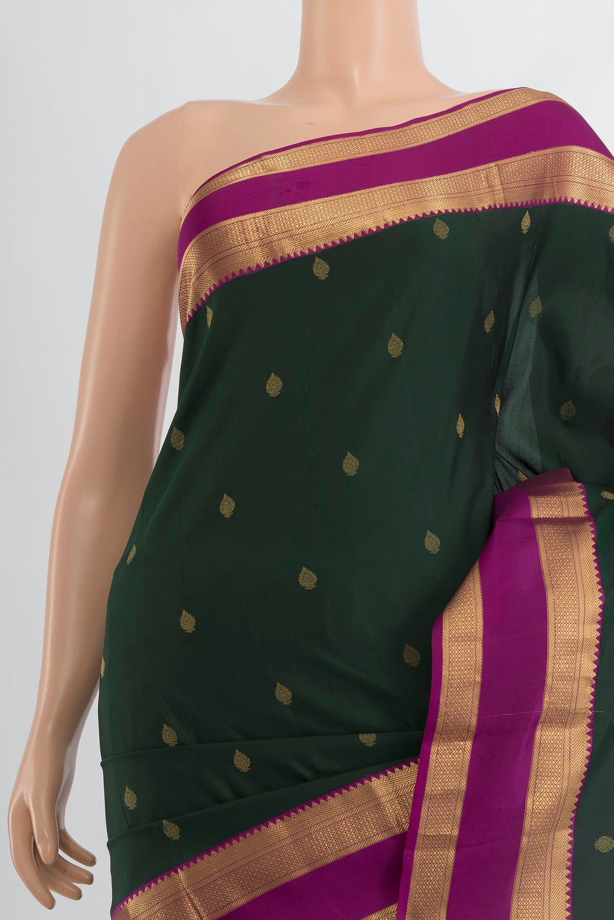 Border image of Pure Silk Sea Green Kanjivaram Saree with Zari Butta on the body and Silk Border. 