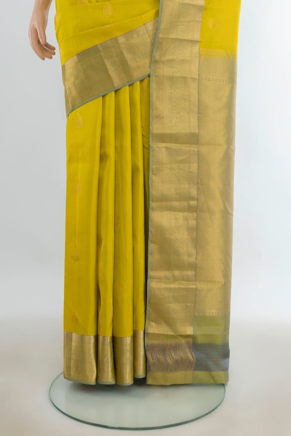 Pleats and pallu of Pure Silk Light Green Kanjivaram Saree with Zari Butta on the body and Silk Border. 