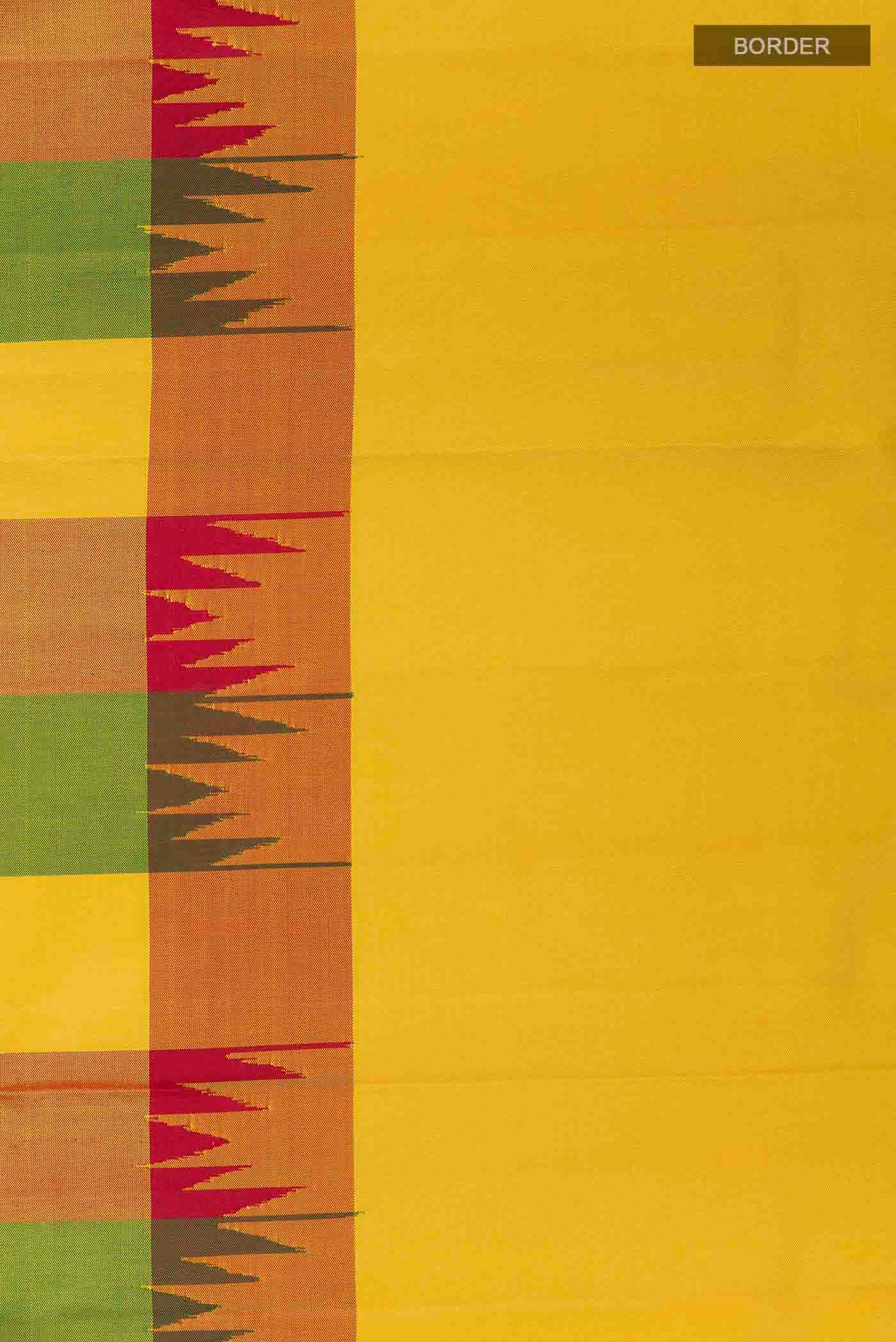 Border image of Multi Color Kanchipuram Silk Saree with Checked design on the body and Plain Border