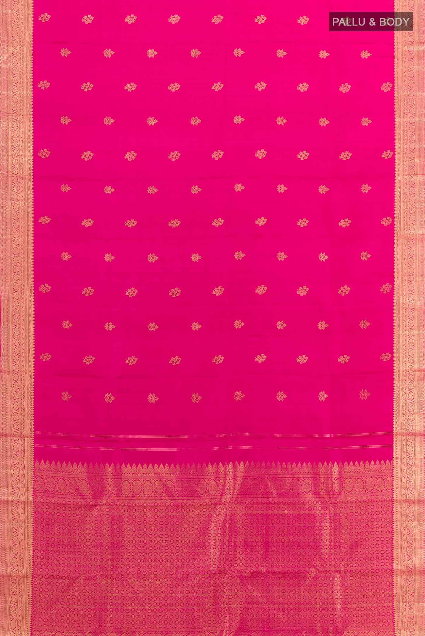pallu body