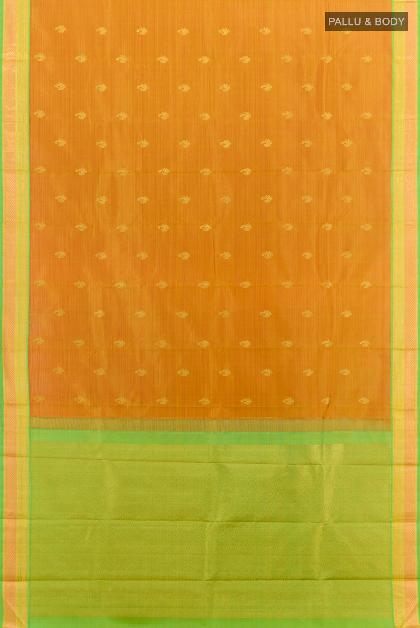 pallu body