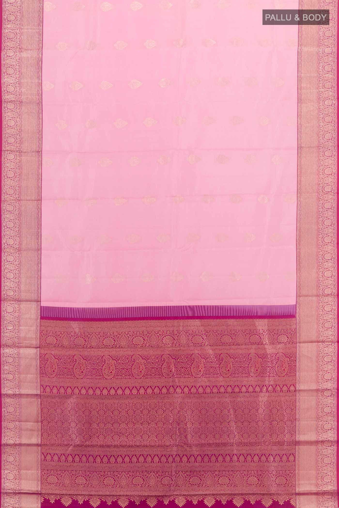 pallu body