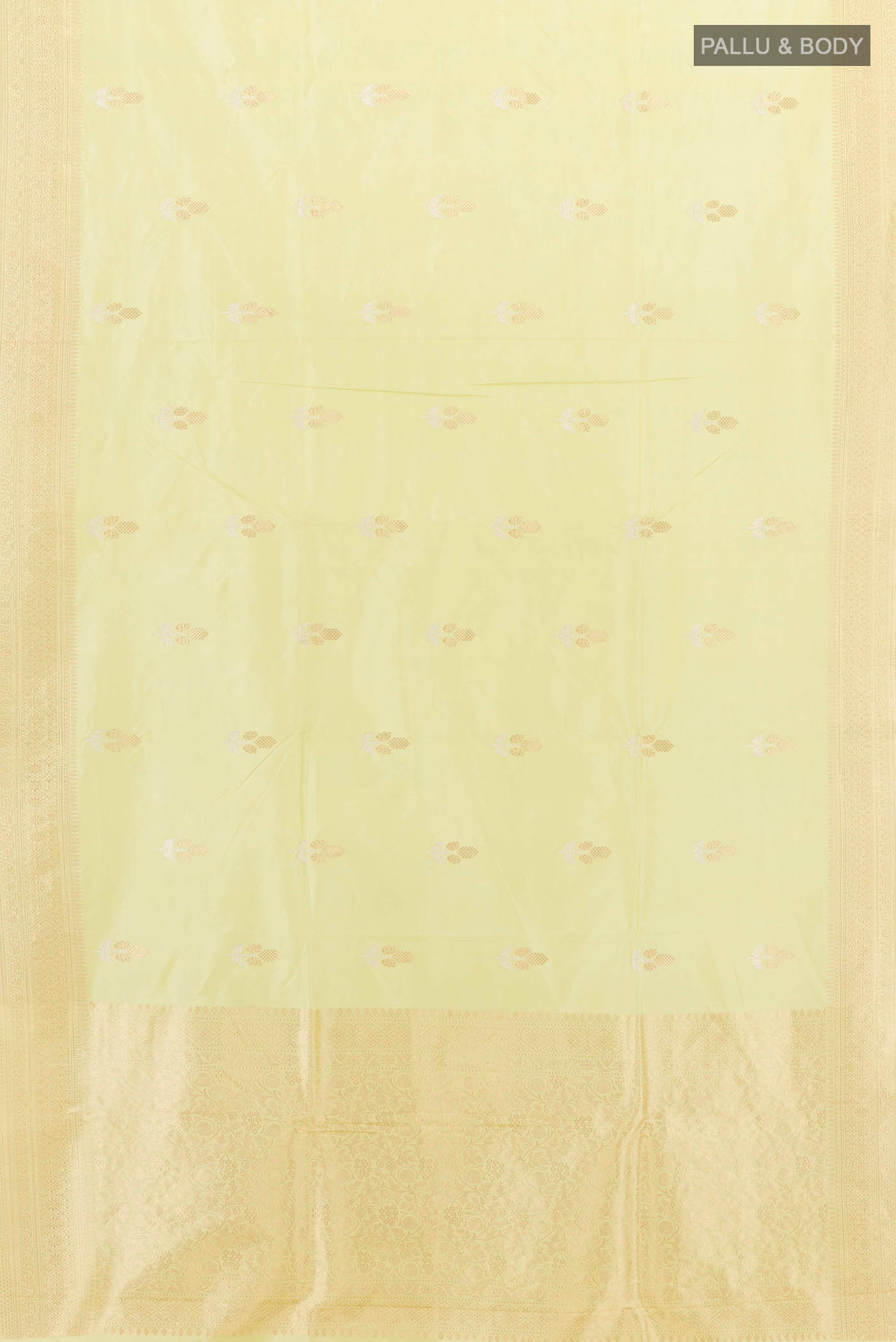 pallu body