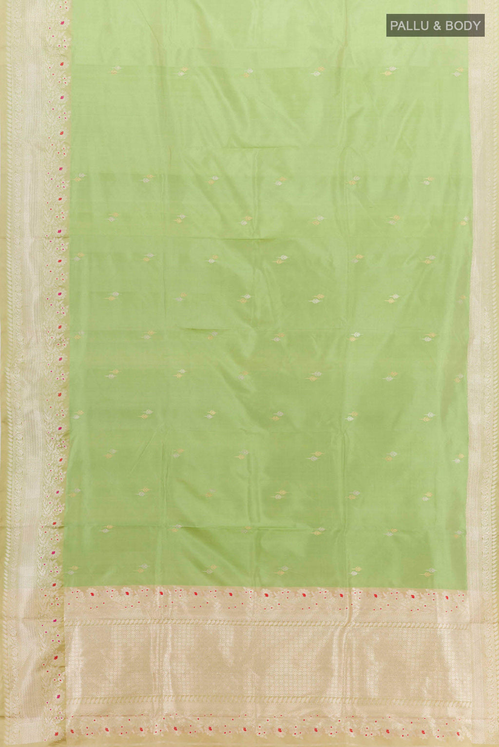 pallu body