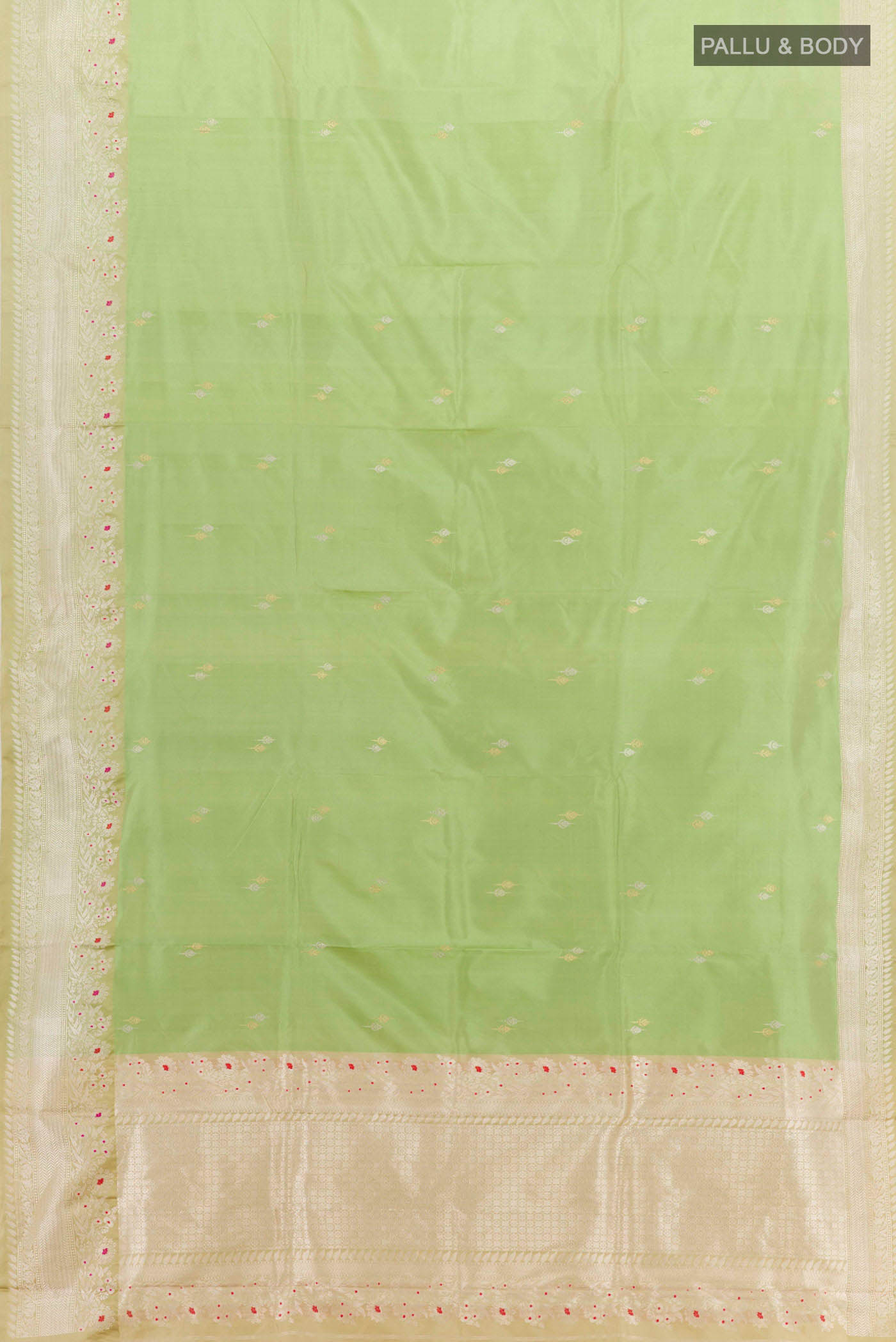 pallu body