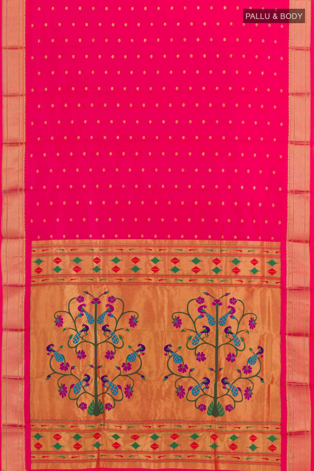 pallu body
