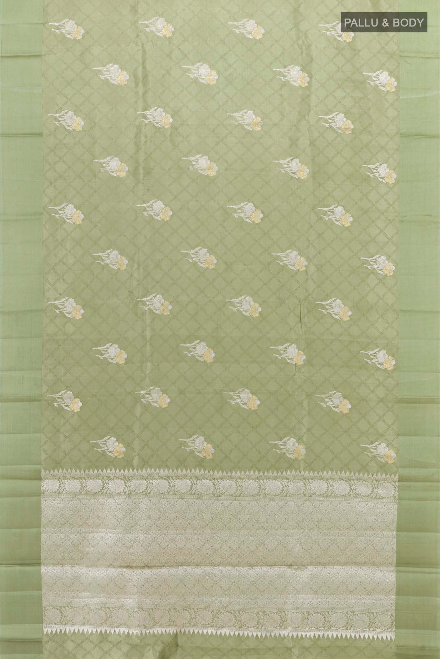 pallu body